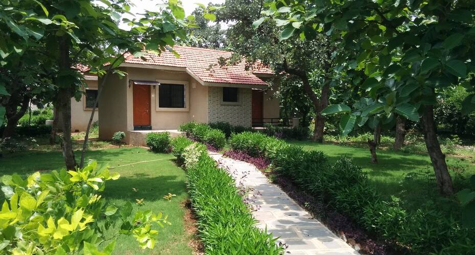 Olive Resorts- Pench, Seoni 1